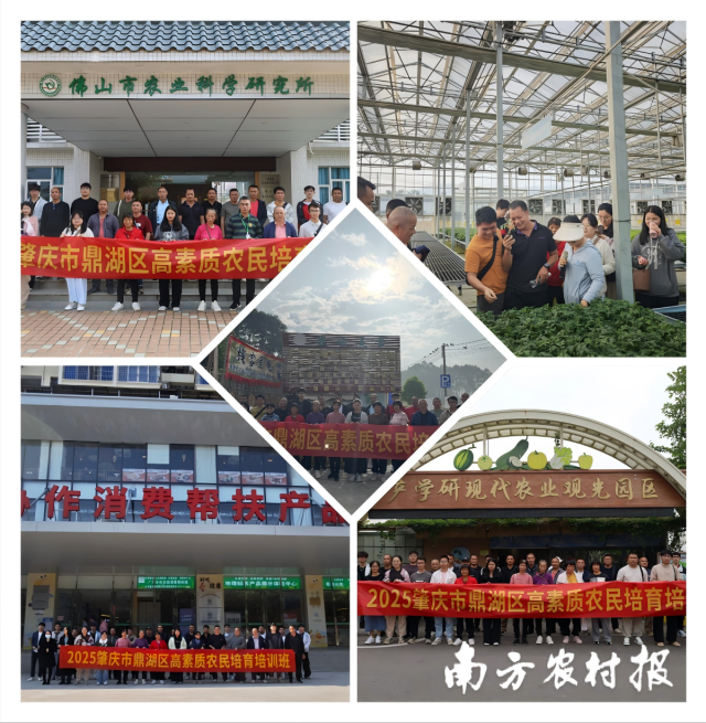 2025肇庆市鼎湖区高素质农民培育培训班组织实地调研。
