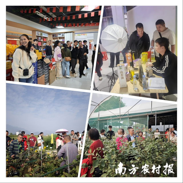 2025肇庆市鼎湖区高素质农民培育培训班组织实地调研。