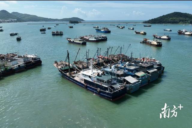 东平渔港，南方农村报 谭家富 拍摄