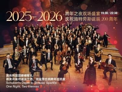 跨年演出音浪席卷大湾区！你最期待哪一场？｜元旦文艺攻略②