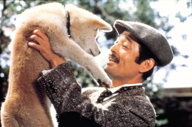 日本版《忠犬八公物语》剧照。