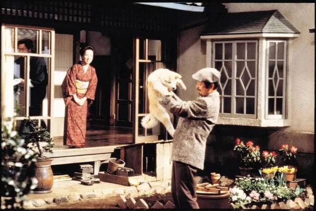 日本版《忠犬八公物语》剧照。