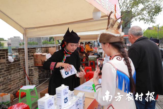 通过粤桂协作机制，鹤山将来自广西龙州的优质水牛奶制成地道的双皮奶，反向输送至龙口各餐馆的鲜卑牛肉宴席上，成为备受赞誉的餐品。