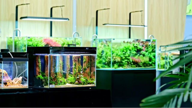 尼特利市场经理赵艳丽表示，在深耕专业领域的同时，品牌也致力于让产品更“亲民”。