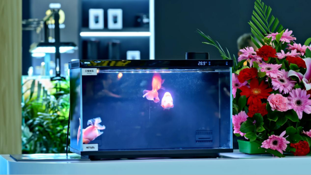 保持专业性的同时，智能鱼缸成为了一件适合新手的桌面艺术品。