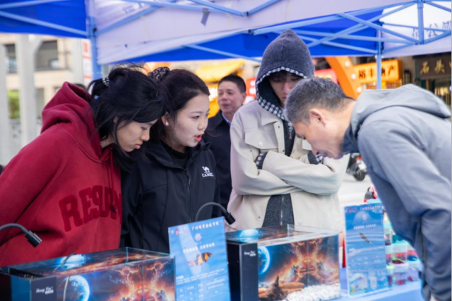 广州观赏鱼引爆多元消费新场景