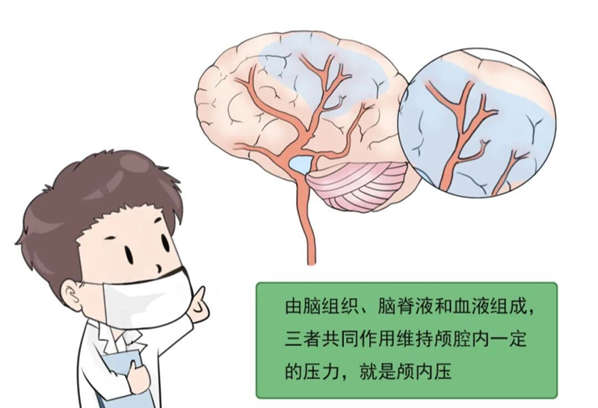 大脑的压力管理课——麻醉医生如何为大脑减压？