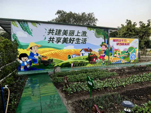 共建美丽上漖。  