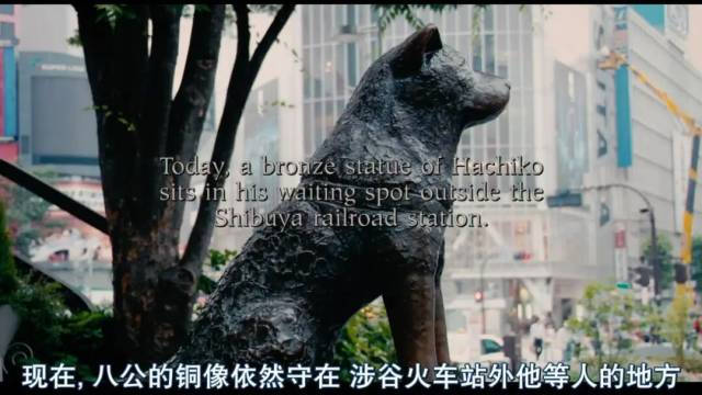 美国版《忠犬八公的忠犬八公故事》剧照。