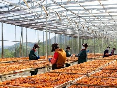 五华土特产“闯三关”