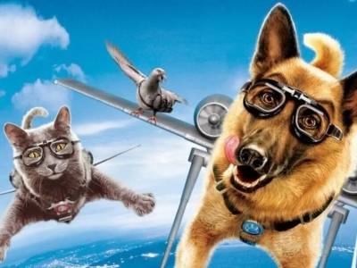 猫狗的世仇其实早就开始？从《猫狗大战》解析背后的温暖