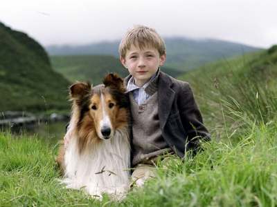 莱西式的忠诚仍在继续，双向奔赴才应该是最终答案
