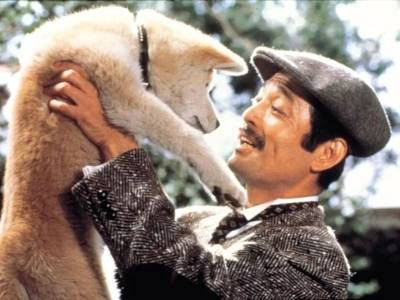 从银幕到行业盛典，“忠犬八公”的情感共鸣具象化了