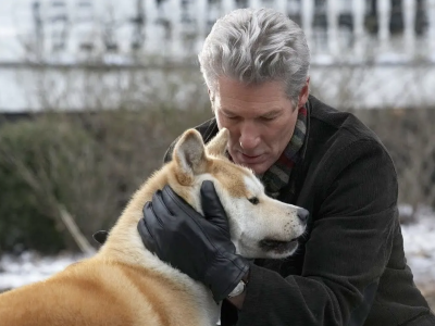 2026，从这些经典宠物故事中温暖开场