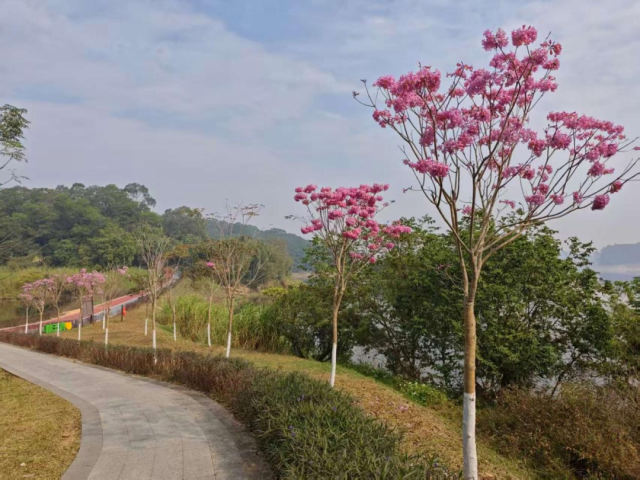 图源：同沙生态公园