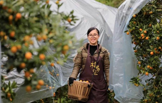 广西柳州市融安县金色桔韵金桔专业合作社总经理赖园园。