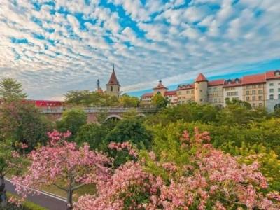 元旦进莞赏景！这些森林公园+绿美点很出片