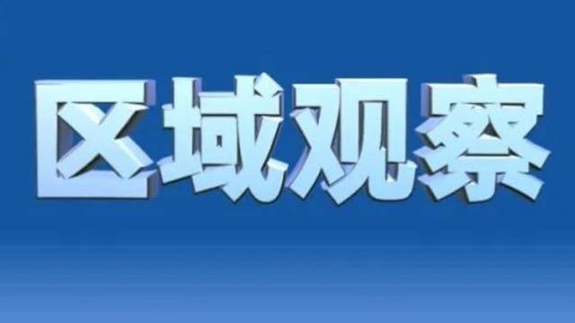 破茧突围，中山走出了一条怎样的路 | 区域观察
