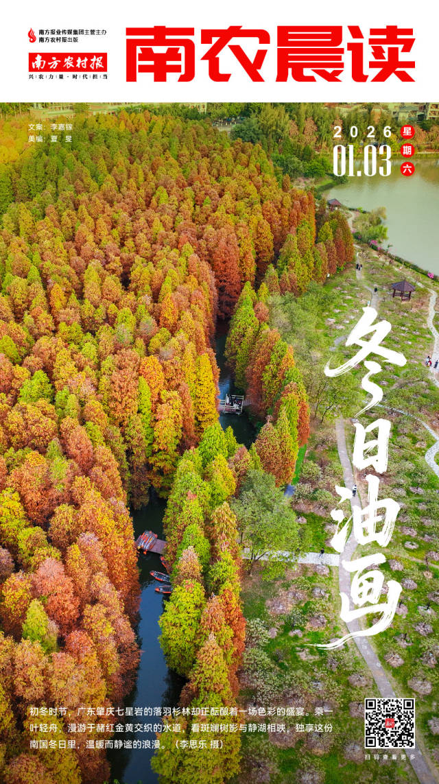 南方农村报 李嘉镓 制图