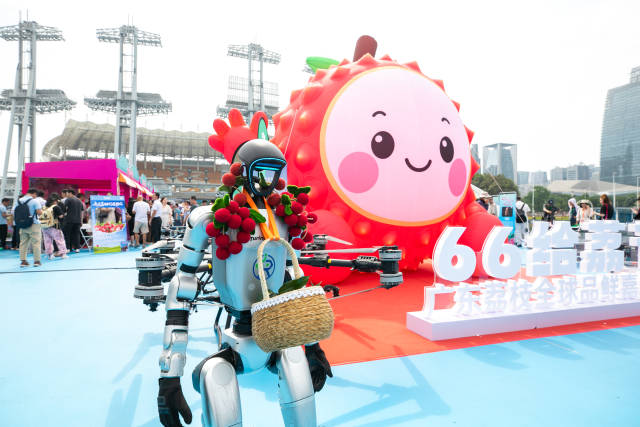 6月6日，由广东省委宣传部指导，广东省农业农村厅等单位主办的首届“6·6给荔节”在广州启幕。现场机器人派送荔枝引发围观。（吴秒衡 摄）
