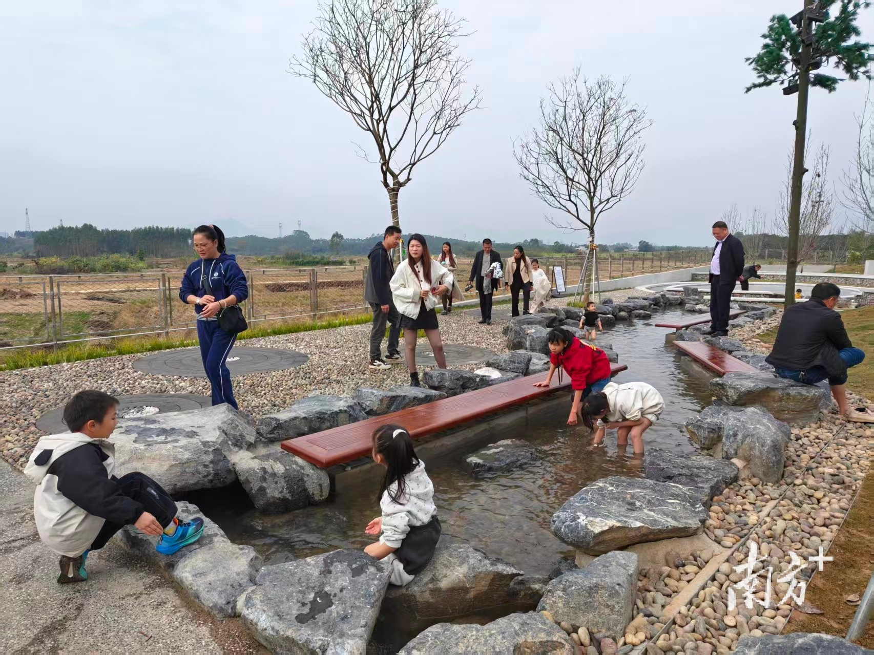 直播系统流小说