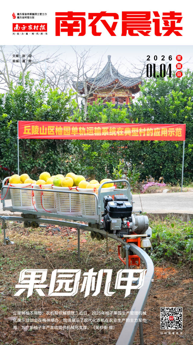 南方农村报 李嘉镓 制图