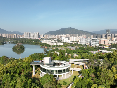 元旦假期迎客多！肇庆“百千万工程”引燃文旅新爆点