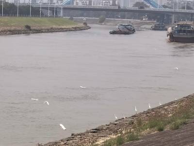 清风美景伴假期！佛山这些高颜值骑行线，景美路平很出片