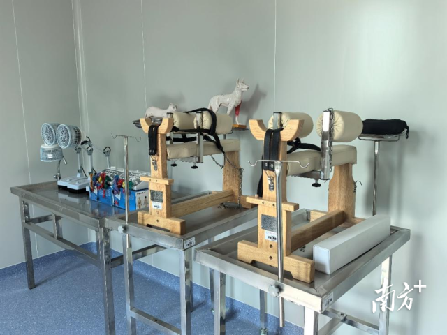 仲恺农业工程学院“上新了”  南方农村报 李宗林 拍摄