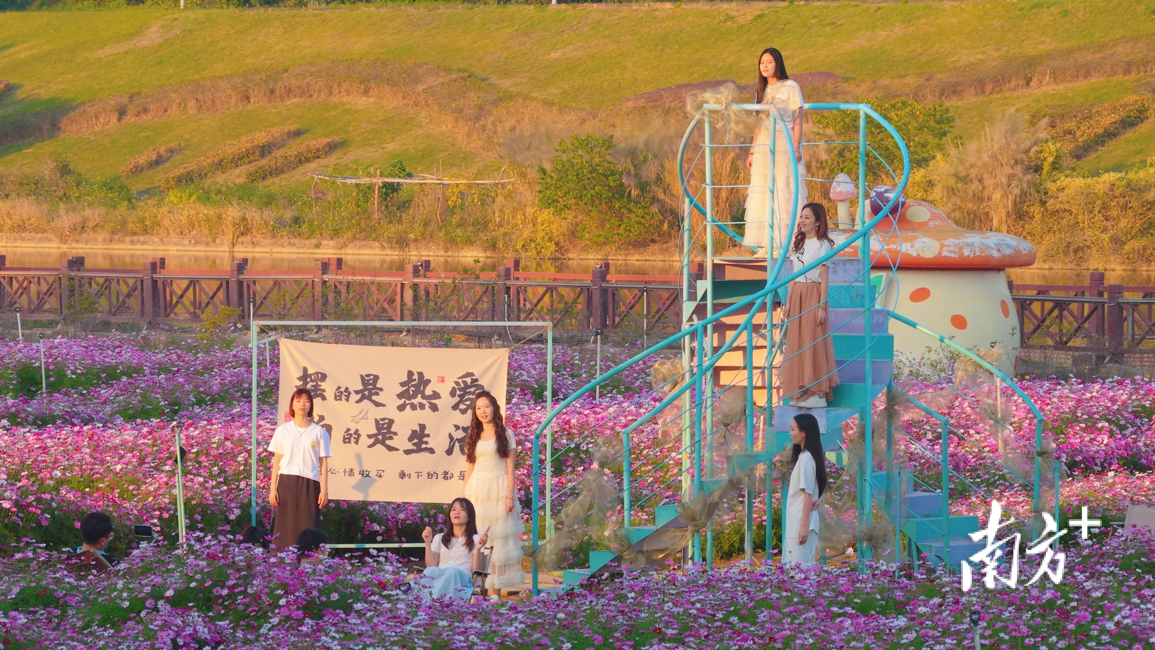 七彩花田成为游客打卡体验的新宠。 白坭镇供图