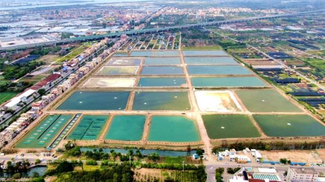 六沙村：产业提质启新程，绣花功夫绘乡韵｜百千万 横栏范