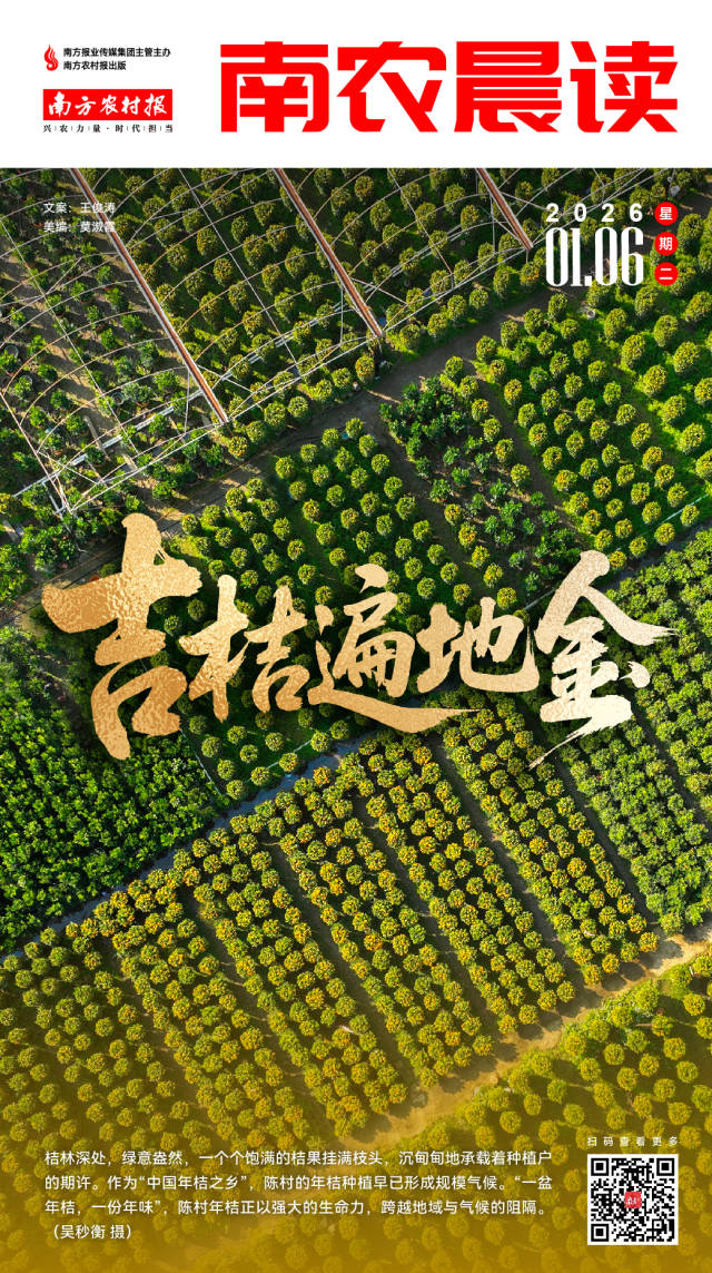 南方农村报 杨娉婧 制图