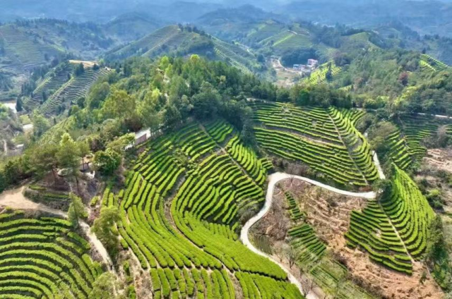 图片来源：央广网