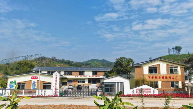 下步村麻竹笋厂。