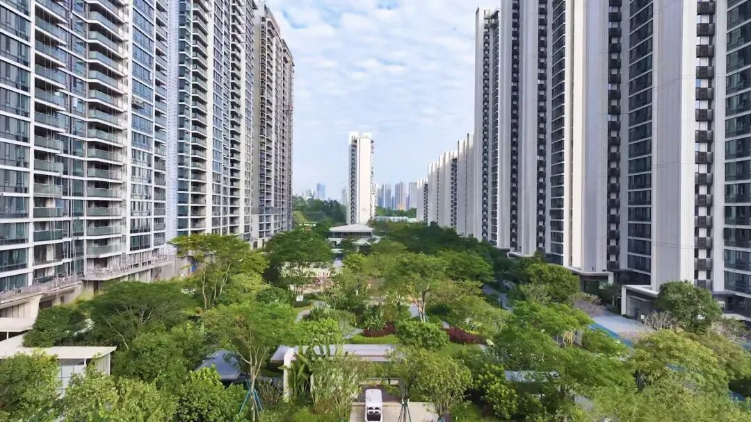 鸿蒙直播间系统