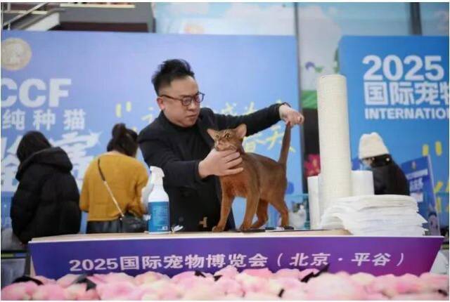 ͼƬ��Դ������