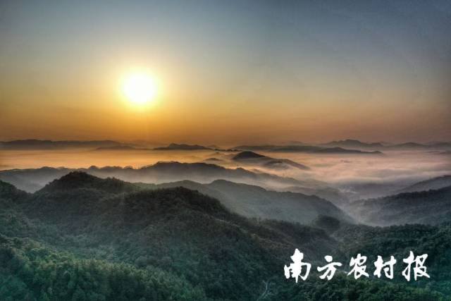 广州市增城林场