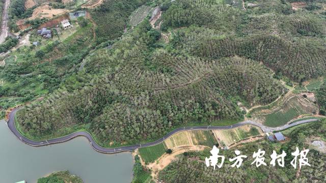 汕尾市海丰县海城镇森林质量精准提升建设成效