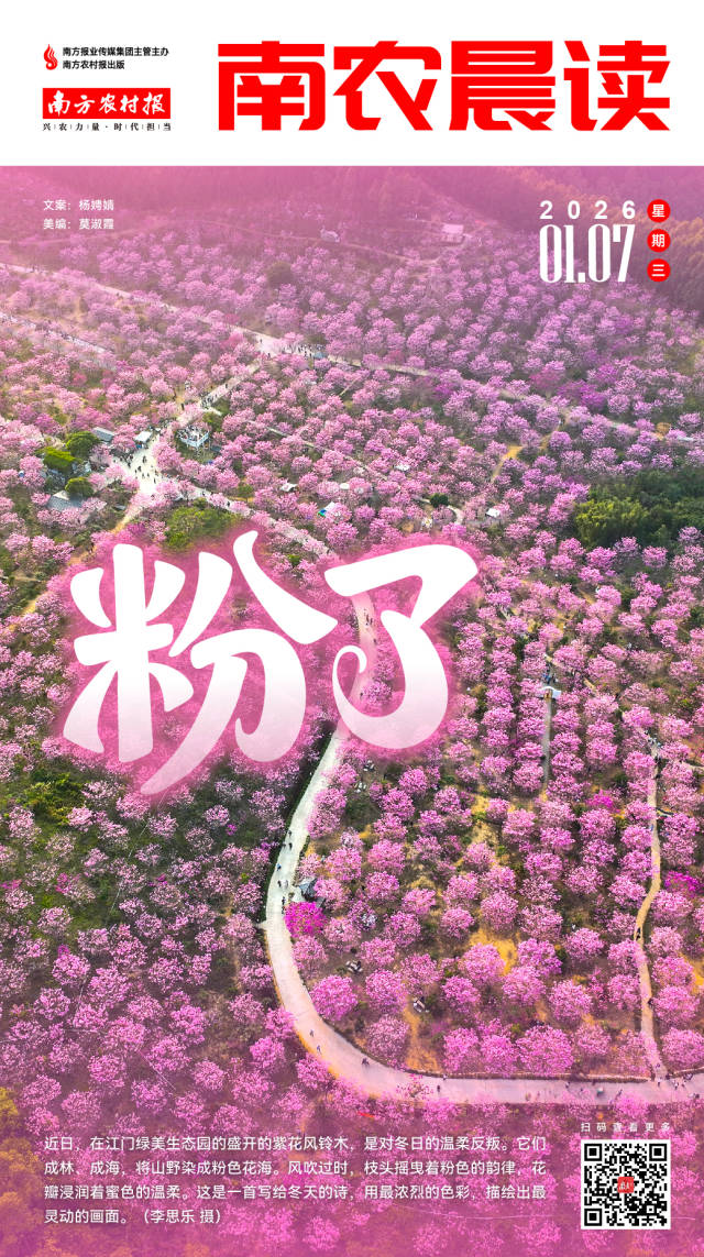 南方农村报 杨娉婧 制图