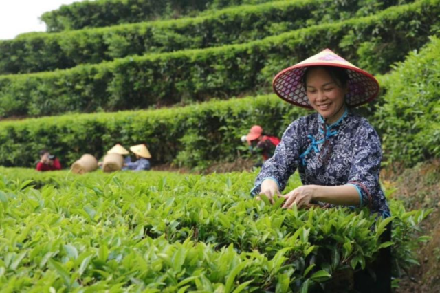 图片来源：南方+。