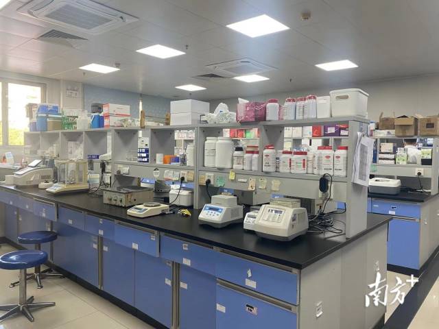 广东省农业科学院动物卫生研究所人兽共患病研究室。