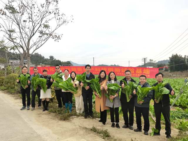 广州（从化）产区蔬菜生产科技创新试验基地首批试验吕田大芥菜采收品鉴活动现场。
