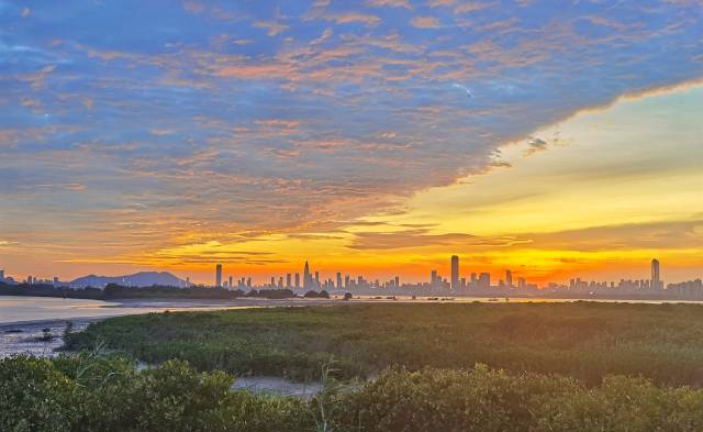 深圳福田红树林自然保护区