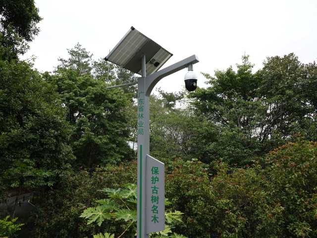 保护古树名木摄像头 