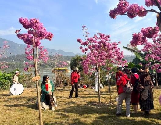 2023年由民营企业家与爱心人士共同种植形成的“民企林”，已经成为星湖又一热门打卡点