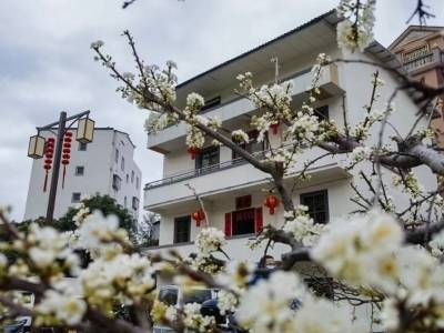 农村“裸”房变身整洁美观客家民居，茂名这个镇人大代表出了力