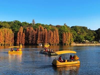肇庆市委书记：实施“成百上千”工程，建设农业强市丨市委书记抓乡村振兴2025年度盘点