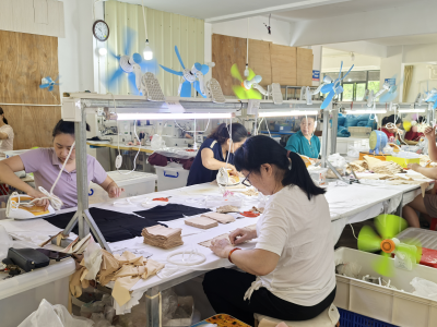 梅州这个镇，人大代表聚力办实事助推“百千万工程”