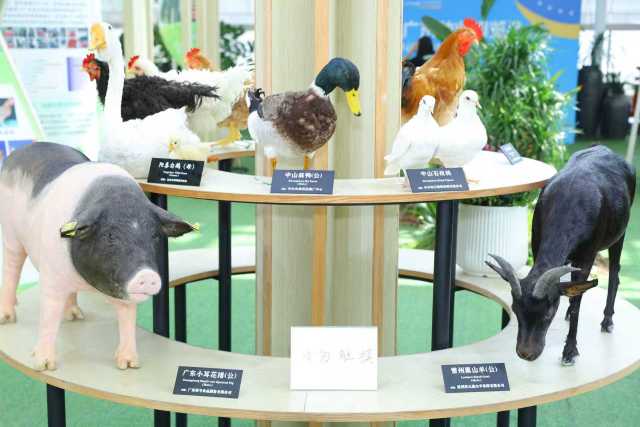 广东地方畜禽种质资源