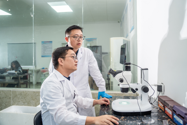 在实验室体视镜下，叶振彪和同事观察种苗发育情况。